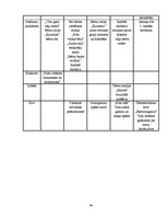 Referāts 'Talsu pilsētas svētku vēsture no 2001. līdz 2011.gadam', 40.