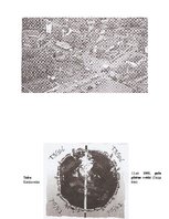 Referāts 'Talsu pilsētas svētku vēsture no 2001. līdz 2011.gadam', 42.
