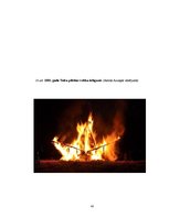 Referāts 'Talsu pilsētas svētku vēsture no 2001. līdz 2011.gadam', 43.