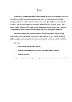 Referāts 'Mediju lietošanas paradumi jauniešu auditorijā: pozitīvā un negatīvā ietekme', 3.