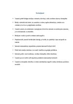 Referāts 'Mediju lietošanas paradumi jauniešu auditorijā: pozitīvā un negatīvā ietekme', 8.