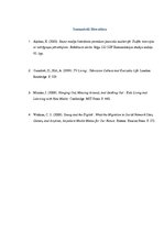 Referāts 'Mediju lietošanas paradumi jauniešu auditorijā: pozitīvā un negatīvā ietekme', 9.