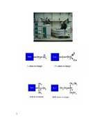 Paraugs 'Jonu hromatogrāfija', 2.