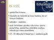 Prezentācija 'Izglītības sistēmas raksturojums ASV', 4.