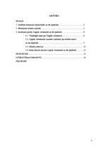 Referāts 'Riska faktori Dagdas vidusskolā un tās apkārtnē', 3.