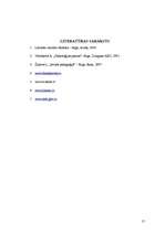 Referāts 'Riska faktori Dagdas vidusskolā un tās apkārtnē', 17.