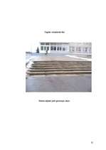 Referāts 'Riska faktori Dagdas vidusskolā un tās apkārtnē', 22.