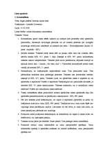 Prakses atskaite 'Atskaite par praksi Rīgas pilsētas Ziemeļu rajona tiesā un Administratīvā rajona', 3.