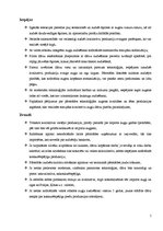 Referāts 'Z/s "Odziņas"', 5.