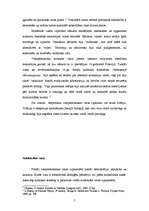 Referāts 'Varas raksturojums un kritika politikas teorijā', 5.