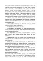 Referāts 'Pirmā pasaules kara cēloņi un sociāli ekonomiskās sekas', 6.