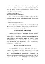 Prakses atskaite 'Prakse SIA "Douglas"', 7.