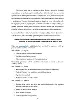 Prakses atskaite 'Prakse SIA "Douglas"', 19.