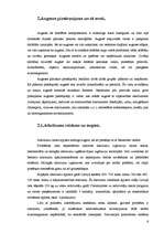 Referāts 'Atkritumu problēmas', 6.