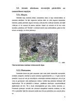 Referāts 'Atkritumu problēmas', 9.