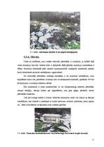 Referāts 'Atkritumu problēmas', 11.