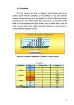 Referāts 'Atkritumu problēmas', 14.