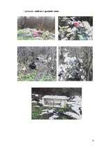 Referāts 'Atkritumu problēmas', 21.