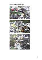 Referāts 'Atkritumu problēmas', 22.