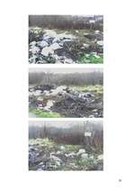 Referāts 'Atkritumu problēmas', 23.