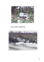 Referāts 'Atkritumu problēmas', 24.