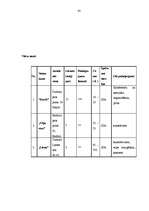 Referāts 'Tūrisma produkts Jūrmalā', 88.