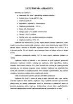 Biznesa plāns 'SIA „Sofix”', 3.