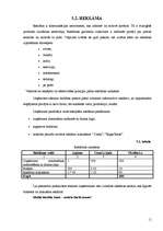 Biznesa plāns 'SIA „Sofix”', 11.