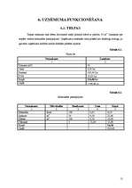 Biznesa plāns 'SIA „Sofix”', 12.