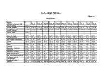 Biznesa plāns 'SIA „Sofix”', 19.