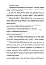 Referāts 'Vardarbība ģimenē pret sievieti', 11.