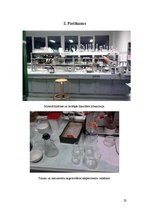 Referāts 'Skābie lieti un nokrišņi Rīgā', 23.