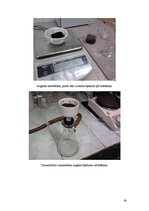 Referāts 'Skābie lieti un nokrišņi Rīgā', 24.