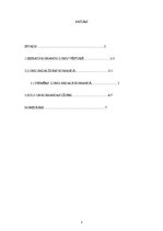 Referāts 'Komandu lomu veidošanās un nozīme', 3.