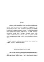 Referāts 'Komandu lomu veidošanās un nozīme', 4.