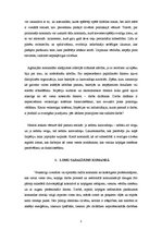 Referāts 'Komandu lomu veidošanās un nozīme', 5.