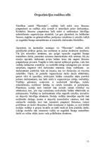 Referāts 'Veselības centra "Pļavnieki" apraksts', 13.