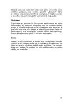 Referāts 'Veselības centra "Pļavnieki" apraksts', 20.