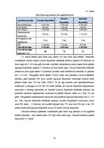 Referāts 'Nodokļu politikas atšķirības Baltijas reģiona valstīs', 60.