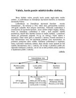 Referāts 'Anglo-sakšu tiesību sistēmas raksturojums', 4.