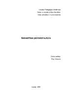 Konspekts 'Sabiedrības politiskā kultūra', 1.