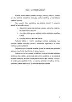 Konspekts 'Sabiedrības politiskā kultūra', 4.