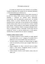 Konspekts 'Sabiedrības politiskā kultūra', 11.