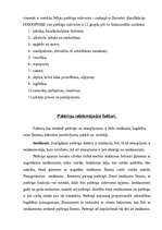 Referāts 'Patēriņa tirgus Latvijā', 5.