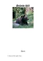 Referāts 'Brūnie lāči', 1.