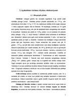 Referāts 'Daugavpils ievērojamāko vietu apskate', 5.