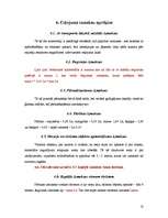 Referāts 'Daugavpils ievērojamāko vietu apskate', 12.