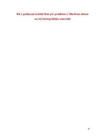 Referāts 'Daugavpils ievērojamāko vietu apskate', 14.