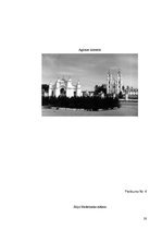Referāts 'Latvijas kultūra laika posmā no 1945.-1991.gadam', 28.