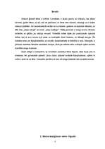 Referāts 'Latviešu tautas šūpuļdziesmas. Motīvi, tēli un to raksturs', 3.